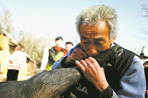 “吹猪”是个力气活儿.jpg