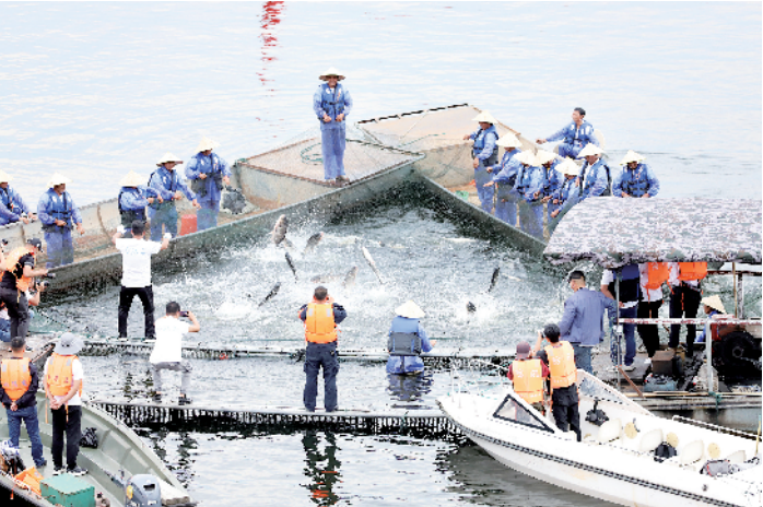 南湾湖第八届开渔节昨日开幕 “头鱼”现场拍出百万巨款