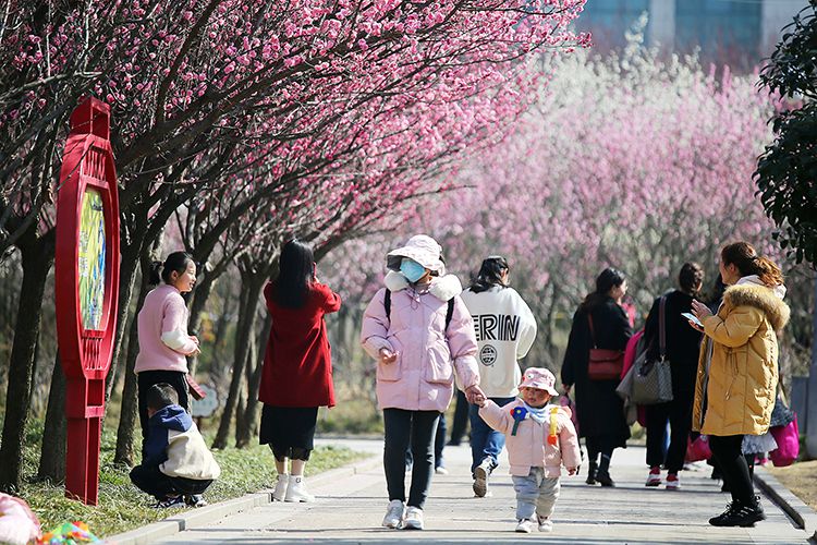 春光正好游园恰时 信阳市百花园区成市民踏青寻春首选