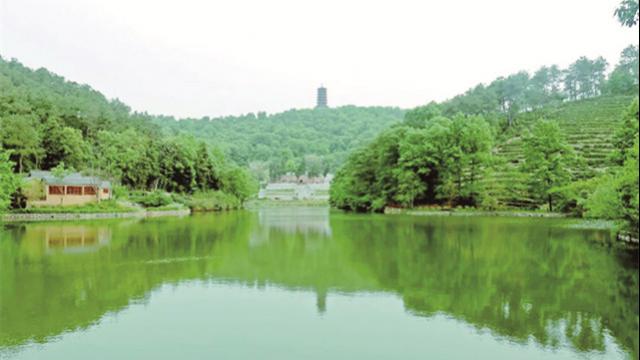 春日里，“打卡”光山县大苏山——游千年古刹 赏清代茶园
